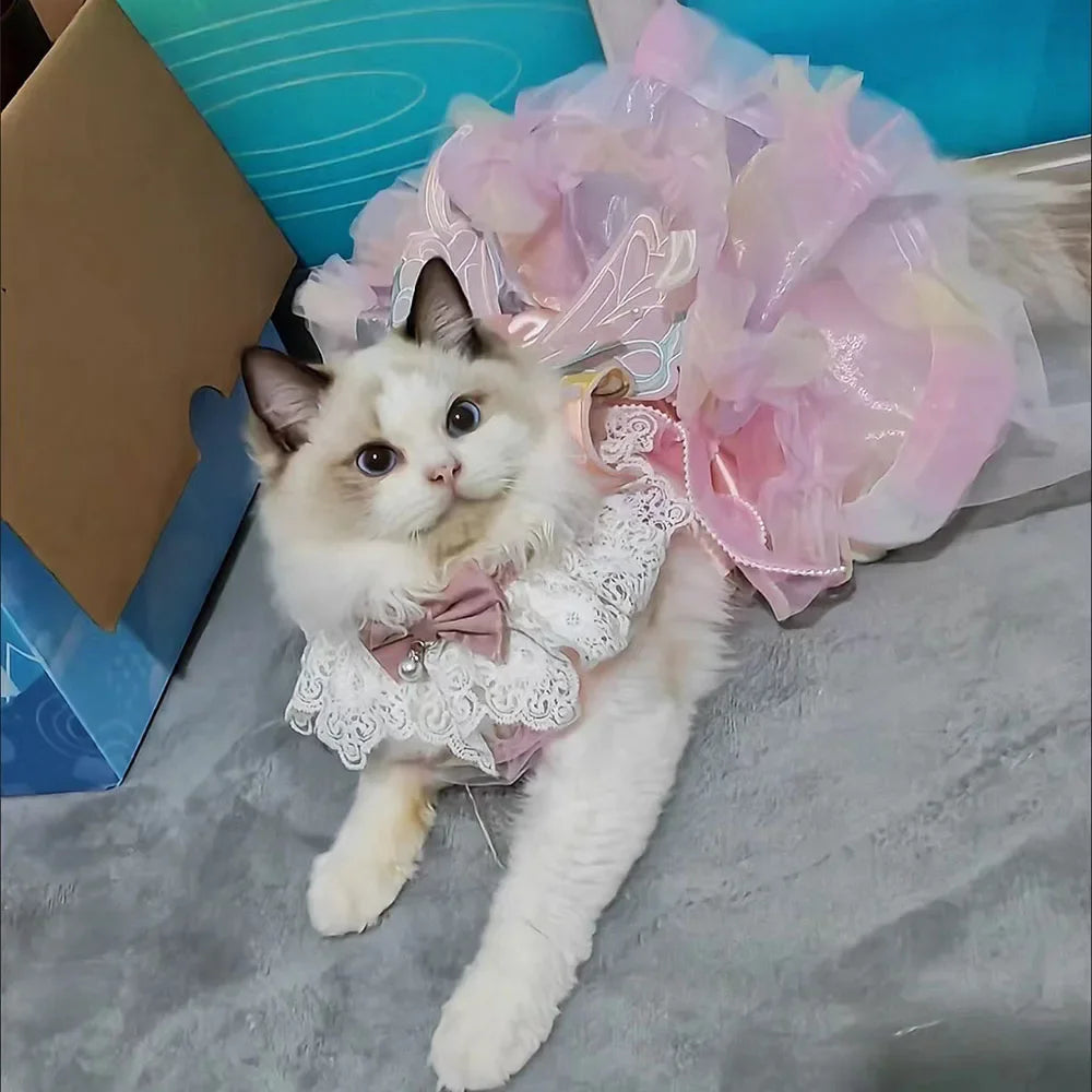 Rainbow Butterfly Dress | for Cats and Dogs