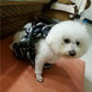 Huge Plastic Simulated Iron Dog Chain Leash