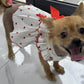 Dog Dress with Bowknot | Summer Pet Clothes