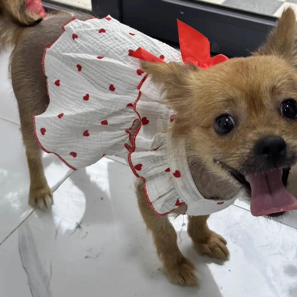 Dog Dress with Bowknot | Summer Pet Clothes