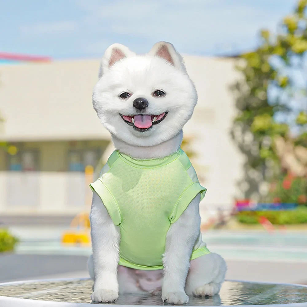 Summer Cooling Dog Vest | Small Sizes
