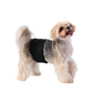 Washable Male Dog Diaper | 4-Packs | XS-XL Available