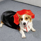 Cat Halloween Costume | Red & Black Cloak