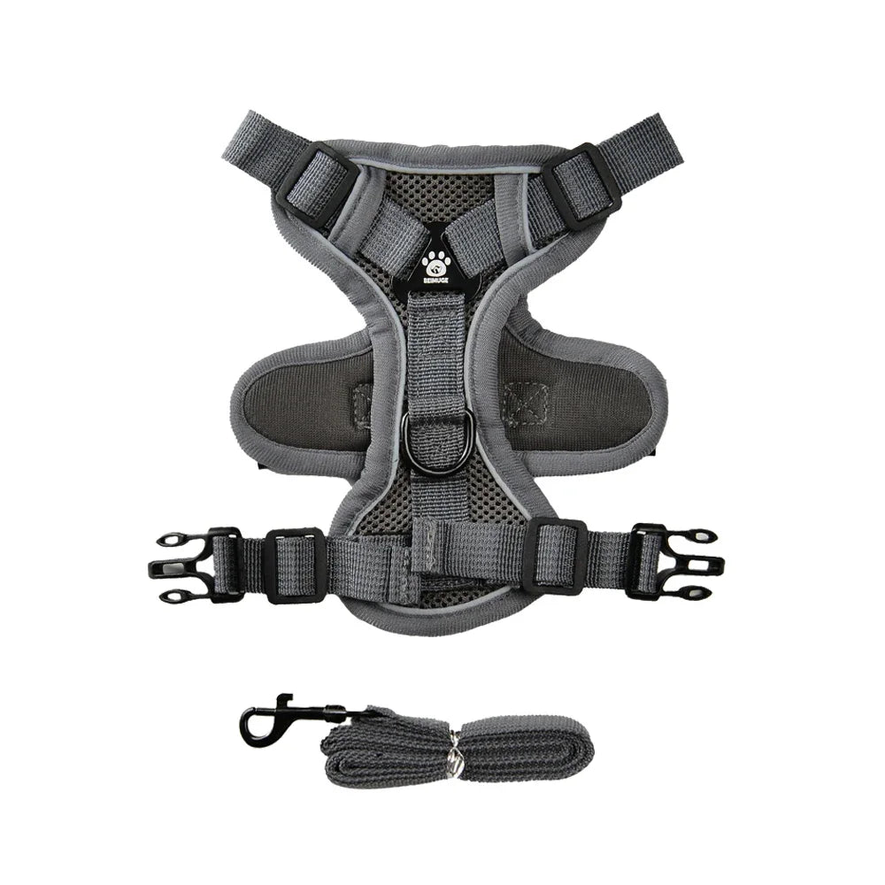 Reflective Cats Harness Leash | S-XL Available