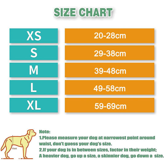 Male Dog Belly Bands | Reusable & Washable