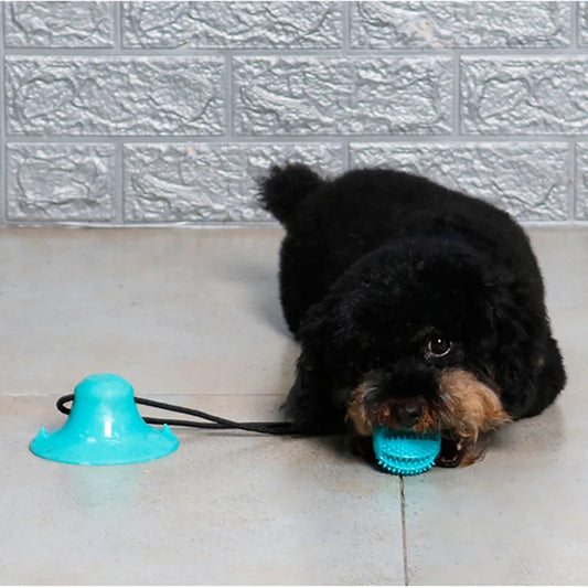 Dog Chew Ball Toy | Interactive Treat Dispenser