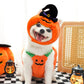 Creative Dog Pumpkin Costume