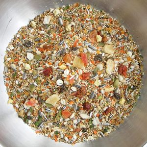 Birdzone Small Parrot Food Blend