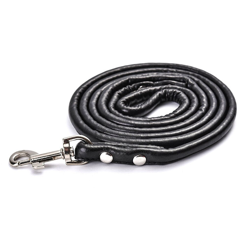 Colourful, Round Walking Leashes for Small & Medium Breeds | Chain Lead Training Walking Leash