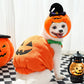 Creative Dog Pumpkin Costume