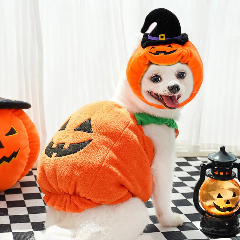 Creative Dog Pumpkin Costume