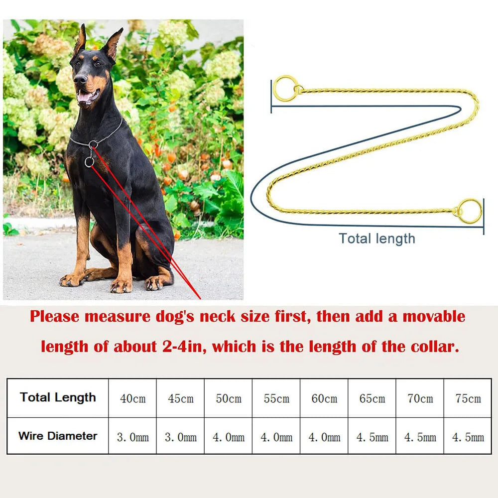 Metal Chain Dog Show Collar | Adjustable