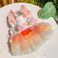 Rainbow Butterfly Dress | for Cats and Dogs