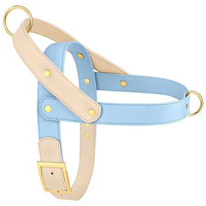 Leather Harnesses | No-Pull, Soft Padded Vest for Pets | Adjustable & Colourful Prints
