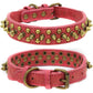 Spiked Dog Collar with Mushroom Rivets