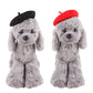 Wool Puppy Beret | Adjustable Pet Hat