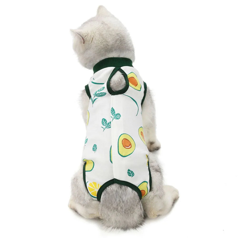 Cat Recovery Suit | E-Collar Alternative