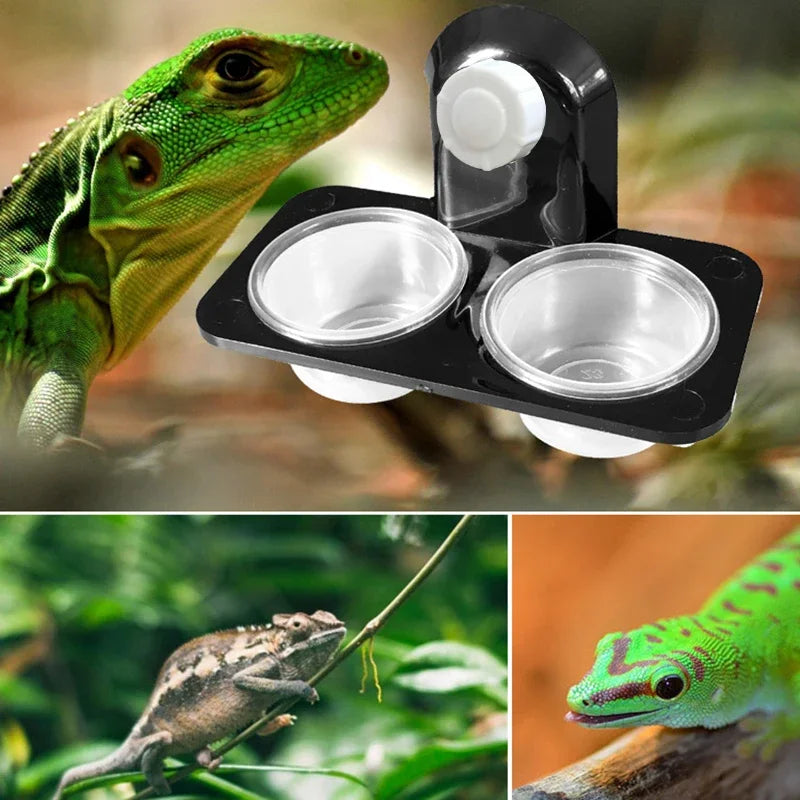 Minimally Designed Dual-Use Feeding Basin | Ideal for Amphibians and Reptiles