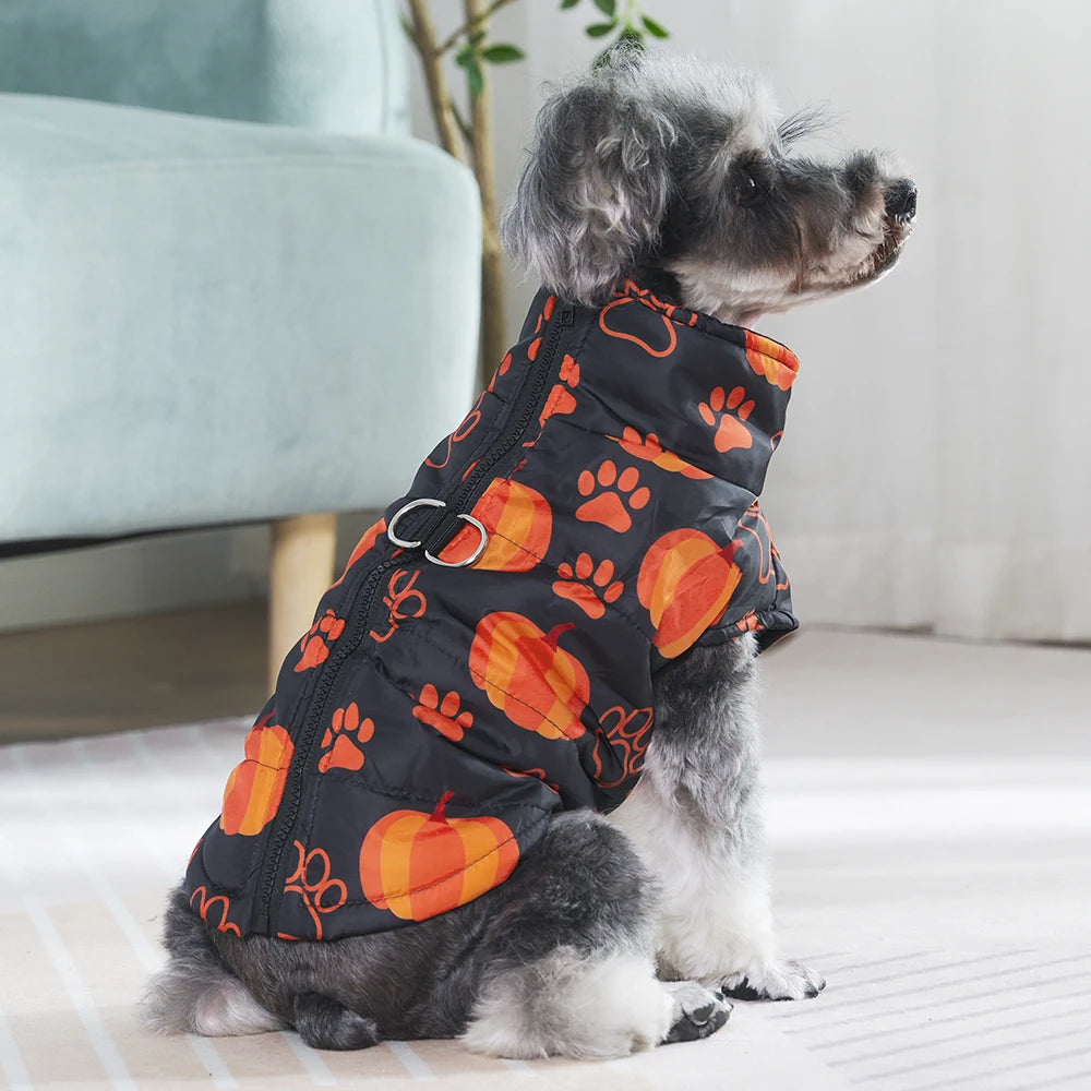 Halloween Dog Jacket Coat | Funny Pumpkin Print