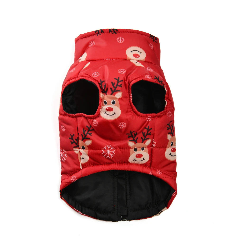 Winter Pet Dog Jacket with D-ring | XS-2XL