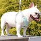 Dog Harness & Leash Set | Reflective & Breathable