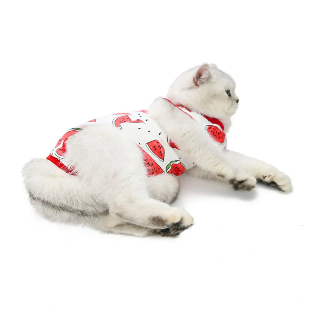 Cat Recovery Suit | E-Collar Alternative