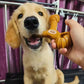 Interactive Dog Chew Toy for Teeth Cleaning