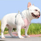 Dog Harness & Leash Set | Reflective & Breathable