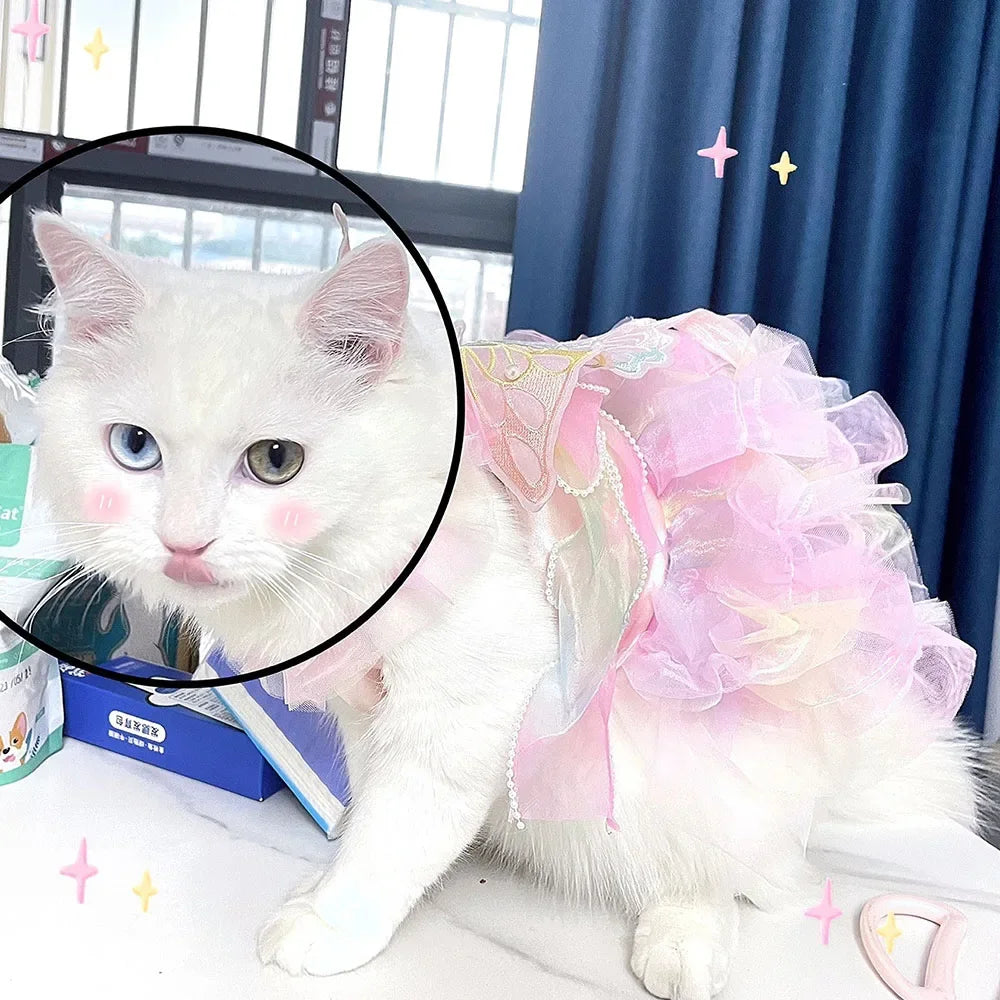 Rainbow Butterfly Dress | for Cats and Dogs