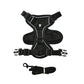 Reflective Cats Harness Leash | S-XL Available