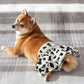 Washable Female Dog Diapers | Small to Large