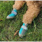 Breathable Dog Boots & Paw Protectors