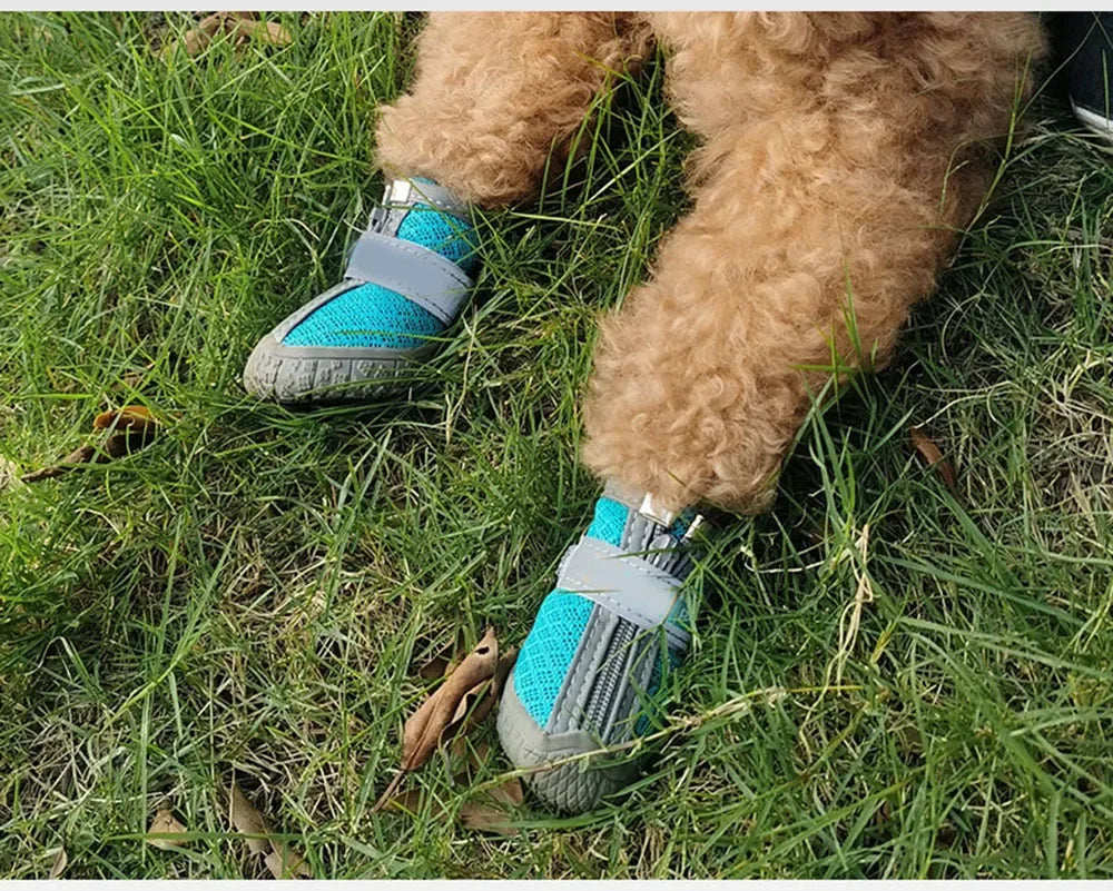 Breathable Dog Boots & Paw Protectors