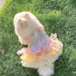 Rainbow Butterfly Dress | for Cats and Dogs