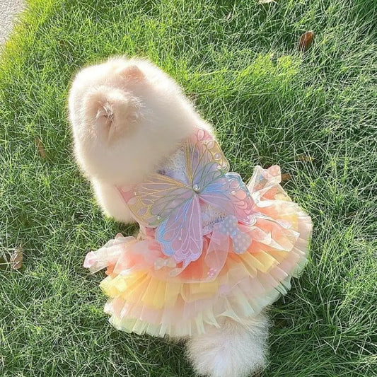 Rainbow Butterfly Dress | for Cats and Dogs