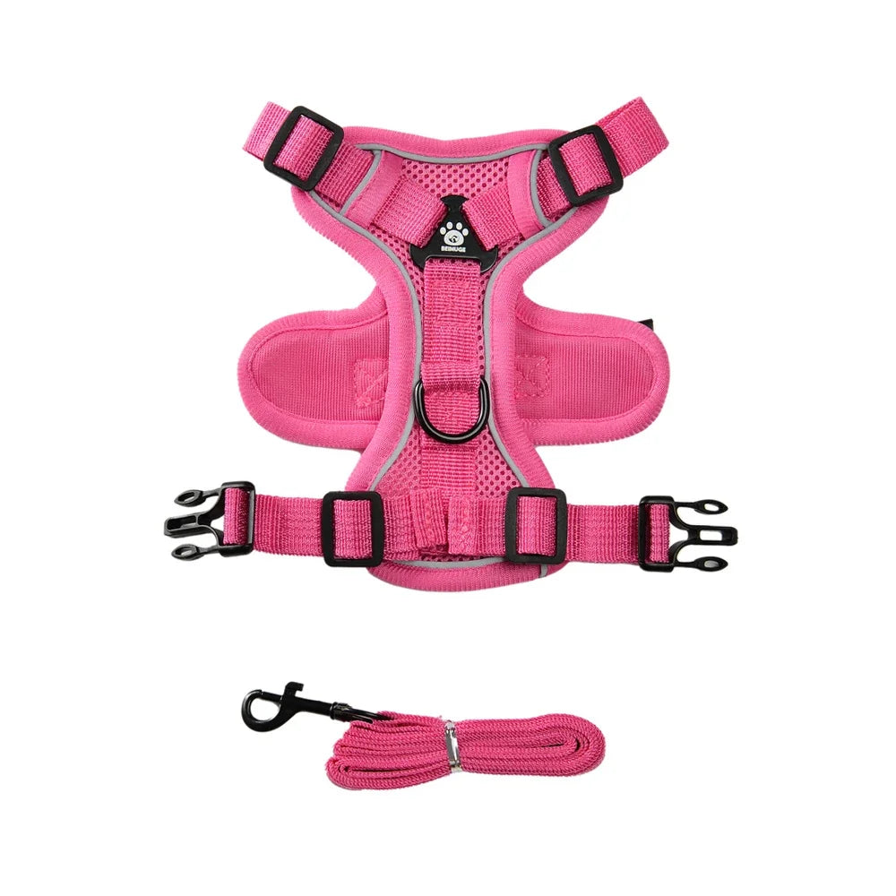 Reflective Cats Harness Leash | S-XL Available