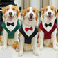 Extra-Large Winter Fleece Tuxedo with Bow Tie