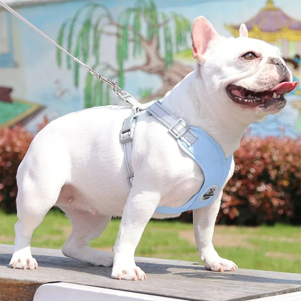 Dog Harness & Leash Set | Reflective & Breathable