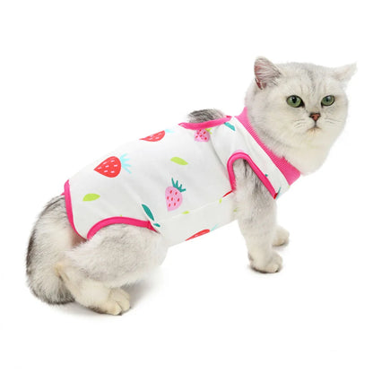 Cat Recovery Suit | E-Collar Alternative