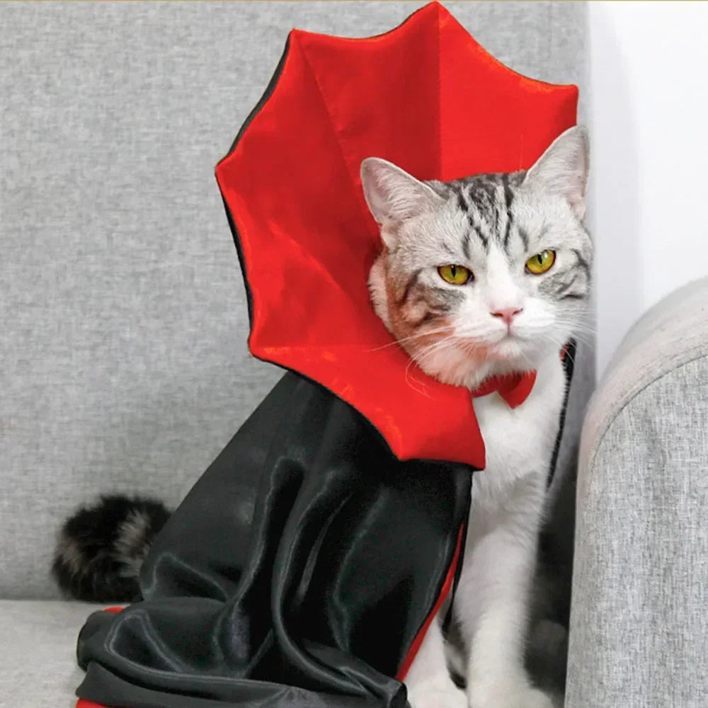 Cat Halloween Costume | Red & Black Cloak