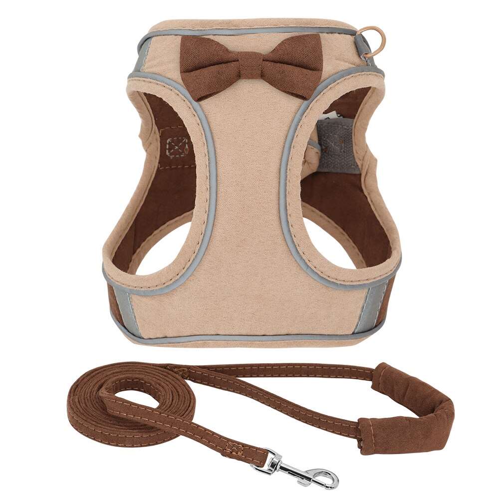 Adjustable Dog Harness with Leash Set for Small Dogs and Cats | Breathable Pet Chest Vest and Leash | Pet Accessories