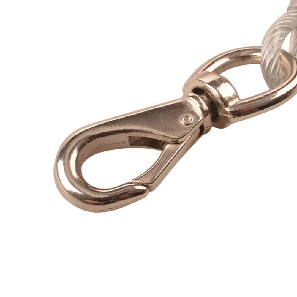 Anti-Bite Chain Leash | Chew Proof