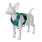 Reflective Cats Harness Leash | S-XL Available