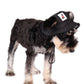 Pet Baseball Hat | Sun Protection for Outdoors