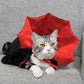 Cat Halloween Costume | Red & Black Cloak