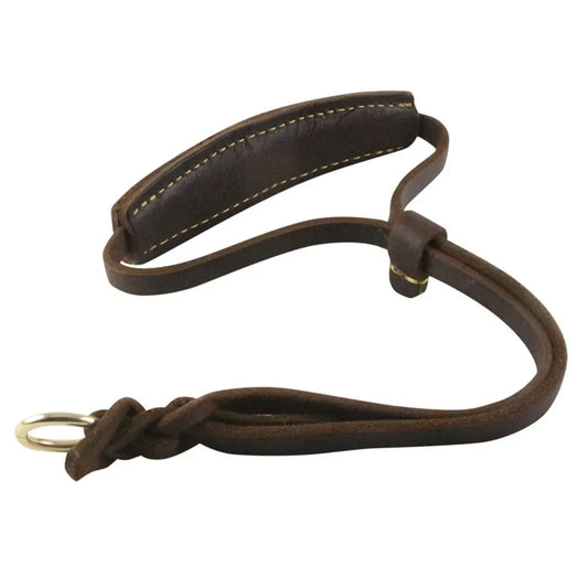 Wide Leather Collar for Medium to Large Dogs | Premium Pet Supplies