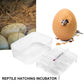 12 Egg Position Incubation Box for Reptiles and Amphibians | Durable Egg Holder and Hatching Box with Integrated Thermometer