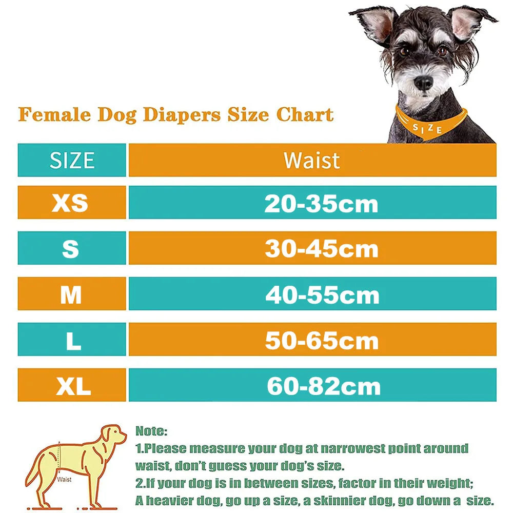 Washable Female Dog Diapers | Small to Large