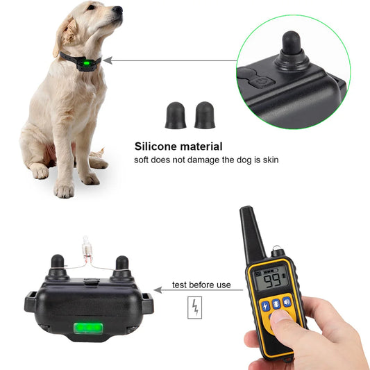 Dog wearing a black receiver collar beside the remote transmitter and accessories