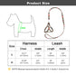 Printed Adjustable Dog Harness & Leash Set | Vest for Small to Medium Dogs | Ideal for Walking and Training